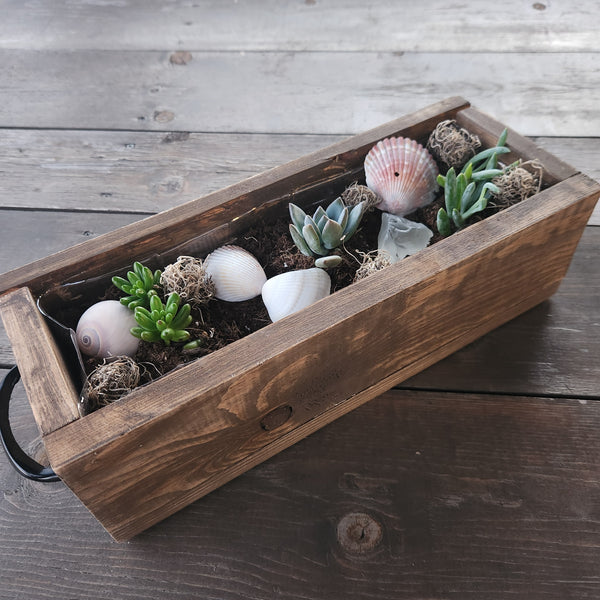 3/25 Succulent Bar Workshop