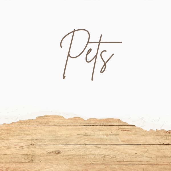 6/25 Sample Workshop Fun