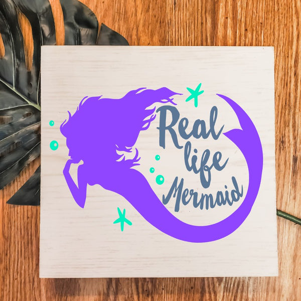 Rec Plex Mermaid Party