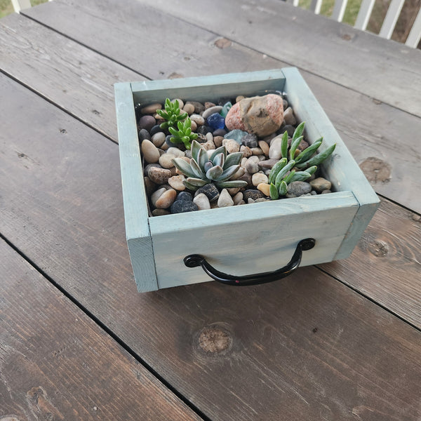 3/25 Succulent Bar Workshop