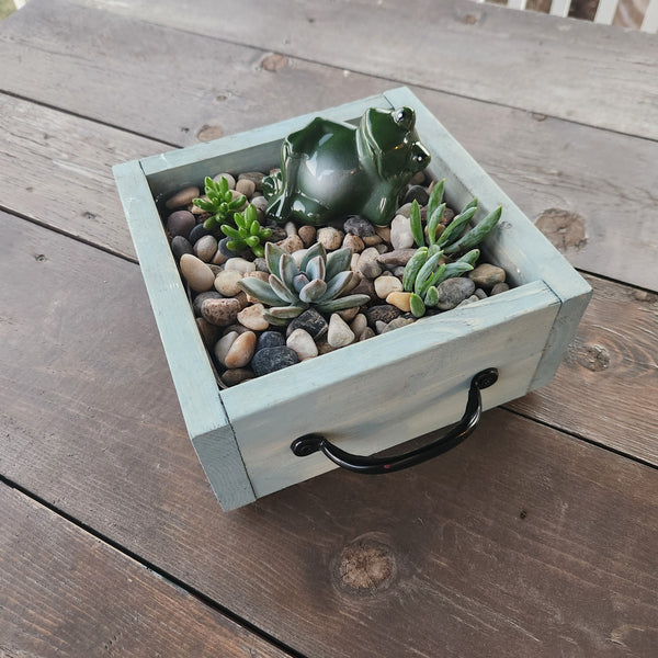 3/25 Succulent Bar Workshop