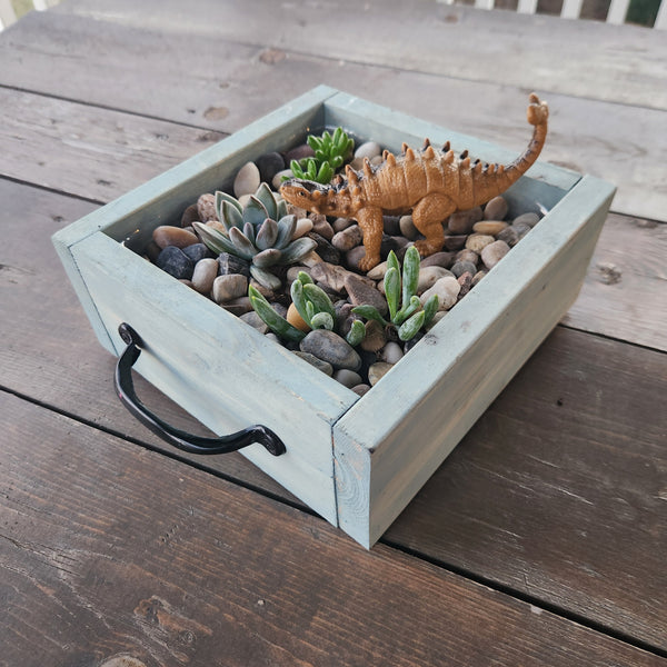 3/25 Succulent Bar Workshop