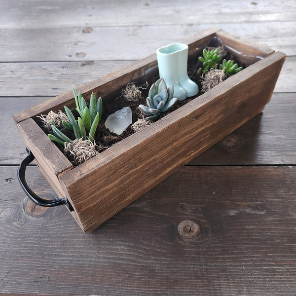 3/25 Succulent Bar Workshop