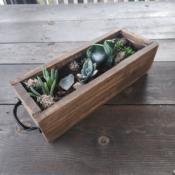 3/25 Succulent Bar Workshop