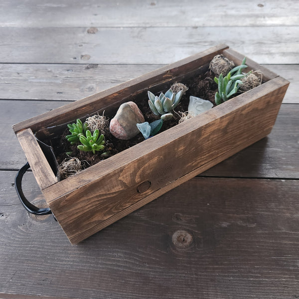 3/25 Succulent Bar Workshop