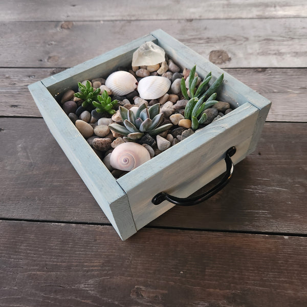 3/25 Succulent Bar Workshop