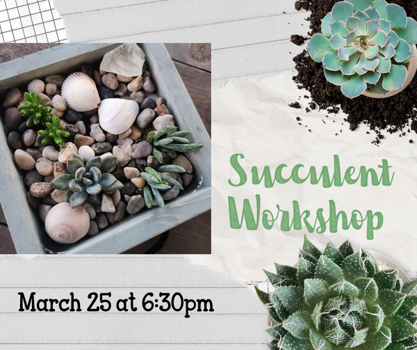 3/25 Succulent Bar Workshop