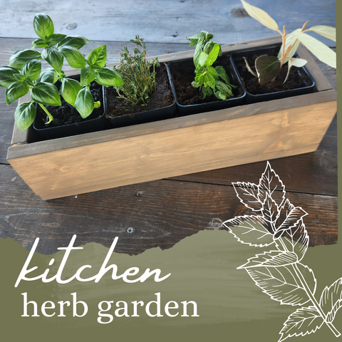 5/8 Kitchen Herb Garden