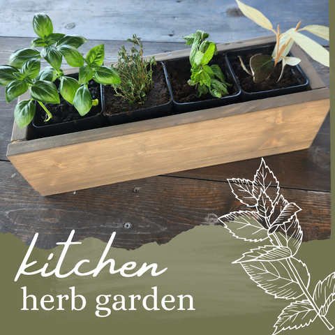 6/6 Herb Garden