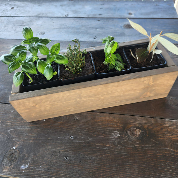 5/8 Kitchen Herb Garden