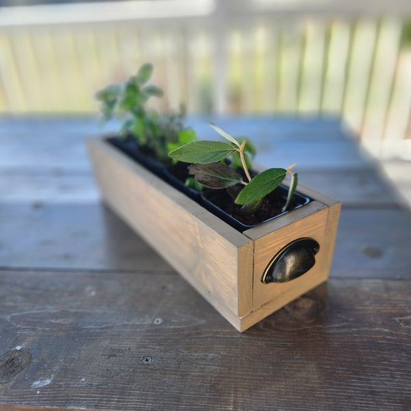 5/8 Kitchen Herb Garden