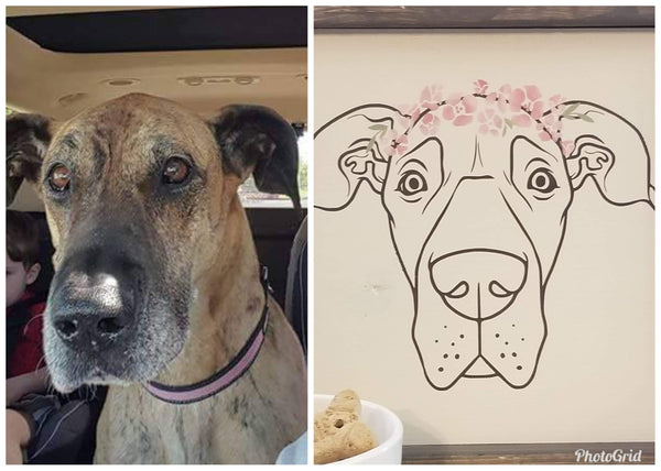 5/28 Pet Portrait Workshop