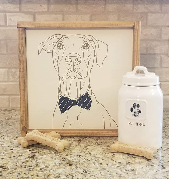 5/28 Pet Portrait Workshop