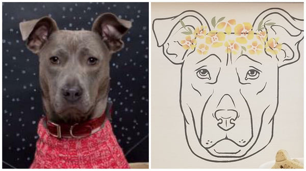 5/28 Pet Portrait Workshop