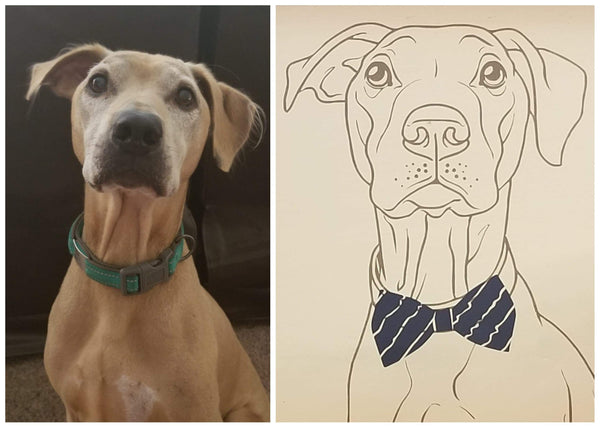 5/28 Pet Portrait Workshop