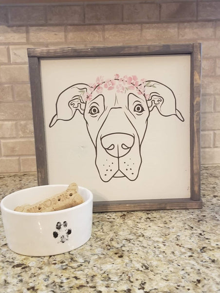 5/28 Pet Portrait Workshop